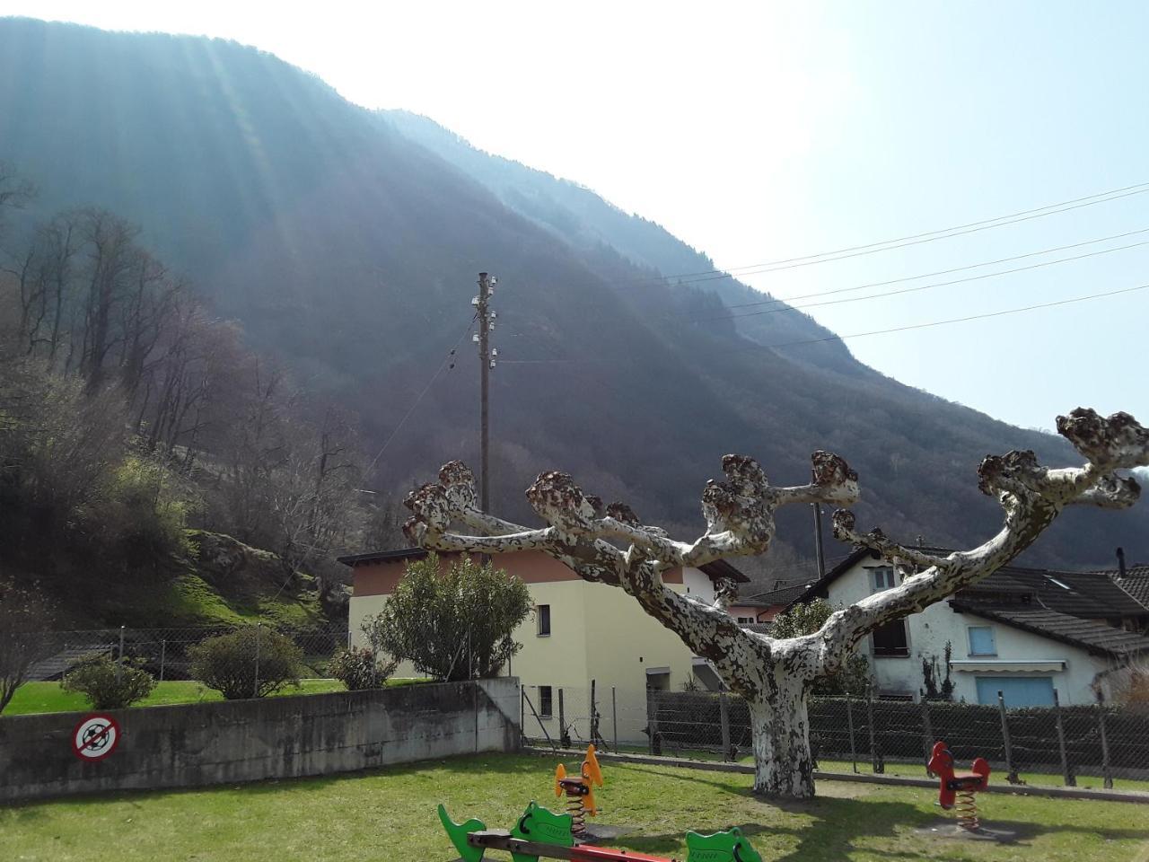 Holidays Homes Il Folletto Quartino Luaran gambar